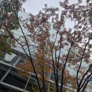 ヒメ日記 2025/11/10 20:59 投稿 椎名 人妻風俗チャンネル