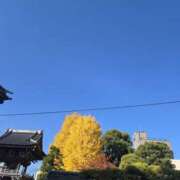 ヒメ日記 2025/12/06 07:51 投稿 椎名 人妻風俗チャンネル