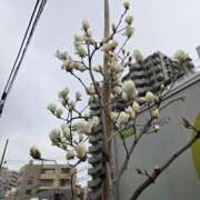 ヒメ日記 2026/03/06 12:03 投稿 椎名 人妻風俗チャンネル