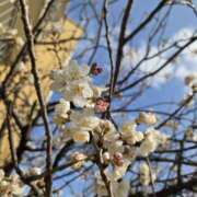 ヒメ日記 2026/03/16 23:45 投稿 椎名 人妻風俗チャンネル