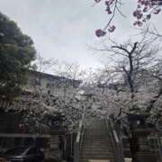 ヒメ日記 2026/03/26 18:15 投稿 椎名 人妻風俗チャンネル