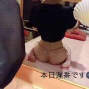 ヒメ日記 2025/10/22 18:03 投稿 澄川いおり シロガネーゼ