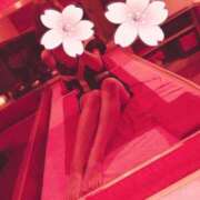 ヒメ日記 2026/04/21 17:48 投稿 澄川いおり シロガネーゼ