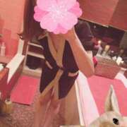 ヒメ日記 2026/04/29 11:03 投稿 澄川いおり シロガネーゼ