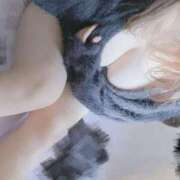 ヒメ日記 2025/11/15 07:58 投稿 なつみ 丸妻 新横浜店