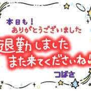 ヒメ日記 2024/06/24 02:30 投稿 つばさ ぽっちゃりきぶん