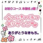 ヒメ日記 2024/09/24 00:20 投稿 つばさ ぽっちゃりきぶん