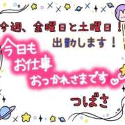 ヒメ日記 2024/11/12 17:22 投稿 つばさ ぽっちゃりきぶん