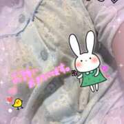 ヒメ日記 2025/07/14 16:50 投稿 つばさ ぽっちゃりきぶん