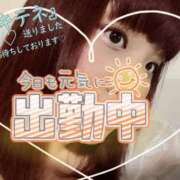 ヒメ日記 2025/07/18 16:42 投稿 つばさ ぽっちゃりきぶん