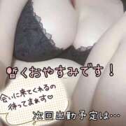 ヒメ日記 2025/08/04 15:26 投稿 つばさ ぽっちゃりきぶん