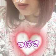 ヒメ日記 2025/08/13 20:33 投稿 つばさ ぽっちゃりきぶん