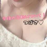 つばさ 今後の出勤について、です！！お読みください。 ぽっちゃりきぶん