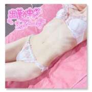 ヒメ日記 2026/03/03 16:03 投稿 れな 水戸人妻花壇