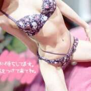 ヒメ日記 2026/03/17 10:25 投稿 れな 水戸人妻花壇