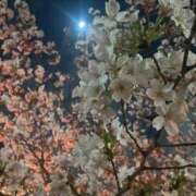 ヒメ日記 2025/06/30 19:31 投稿 ナナセ エピソード(品川)