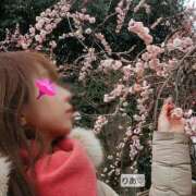 ヒメ日記 2026/03/14 07:42 投稿 りあ 熟女総本店