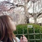 ヒメ日記 2026/03/29 08:16 投稿 りあ 熟女総本店