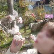 ヒメ日記 2026/04/06 08:02 投稿 りあ 熟女総本店