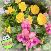 ヒメ日記 2025/03/14 19:31 投稿 くるみ Welcome Cafe(ウェルカムカフェ) 吉祥寺店