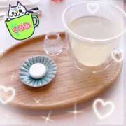 ヒメ日記 2025/03/31 09:44 投稿 くるみ Welcome Cafe(ウェルカムカフェ) 吉祥寺店