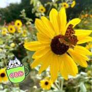 ヒメ日記 2025/11/24 18:31 投稿 くるみ Welcome Cafe(ウェルカムカフェ) 吉祥寺店