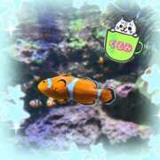 ヒメ日記 2026/01/31 17:51 投稿 くるみ Welcome Cafe(ウェルカムカフェ) 吉祥寺店