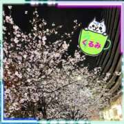 ヒメ日記 2026/04/04 12:48 投稿 くるみ Welcome Cafe(ウェルカムカフェ) 吉祥寺店