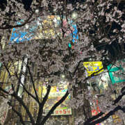 ヒメ日記 2025/03/25 10:55 投稿 いのり バイオレンス