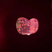 ヒメ日記 2025/07/25 10:45 投稿 いのり バイオレンス