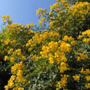 ヒメ日記 2025/11/09 11:45 投稿 いのり バイオレンス