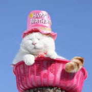 ヒメ日記 2025/12/26 19:45 投稿 いのり バイオレンス