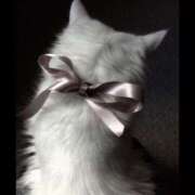 ヒメ日記 2026/03/03 20:55 投稿 いのり バイオレンス