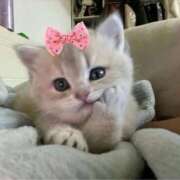 ヒメ日記 2025/09/17 01:17 投稿 きき 花火-hanabi-(すすきの)