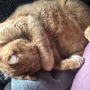 ヒメ日記 2025/04/24 15:13 投稿 宮川 愛妻倶楽部 宇都宮店