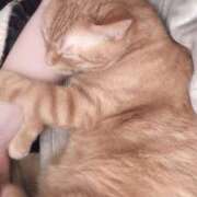 ヒメ日記 2025/05/05 17:43 投稿 宮川 愛妻倶楽部 宇都宮店