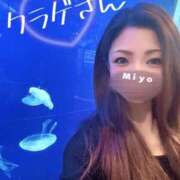 ヒメ日記 2025/03/25 03:26 投稿 みよ 恋する人妻