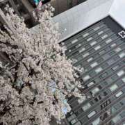 ヒメ日記 2025/03/31 22:12 投稿 仲川しょうこ 全裸美女からのカゲキな誘惑