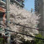 ヒメ日記 2025/04/05 19:36 投稿 仲川しょうこ 全裸美女からのカゲキな誘惑