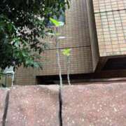 ヒメ日記 2025/05/25 13:09 投稿 仲川しょうこ 全裸美女からのカゲキな誘惑