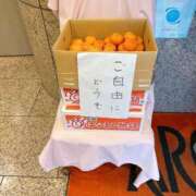 ヒメ日記 2025/01/03 14:57 投稿 信濃町しょうこ THE痴漢電車.com