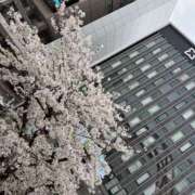 ヒメ日記 2025/03/31 22:23 投稿 信濃町しょうこ THE痴漢電車.com