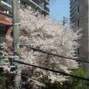 ヒメ日記 2025/04/05 19:55 投稿 信濃町しょうこ THE痴漢電車.com