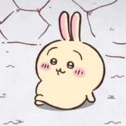 ヒメ日記 2025/12/28 10:05 投稿 信濃町しょうこ THE痴漢電車.com