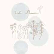 ヒメ日記 2025/12/30 23:33 投稿 信濃町しょうこ THE痴漢電車.com