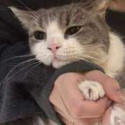 ヒメ日記 2026/04/10 00:06 投稿 りま セータームーン