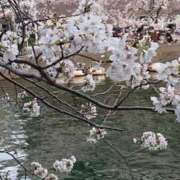 ヒメ日記 2025/04/02 10:44 投稿 かえら 横浜風俗　寝取られたいオンナ達…生