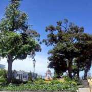 ヒメ日記 2025/07/20 21:13 投稿 かえら 横浜風俗　寝取られたいオンナ達…生