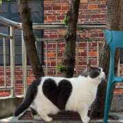 ヒメ日記 2025/02/08 16:02 投稿 あむ 熟女の風俗最終章 新宿店