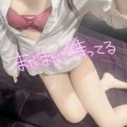 ヒメ日記 2025/08/29 15:56 投稿 白沢　あい OLセレクション宇都宮店